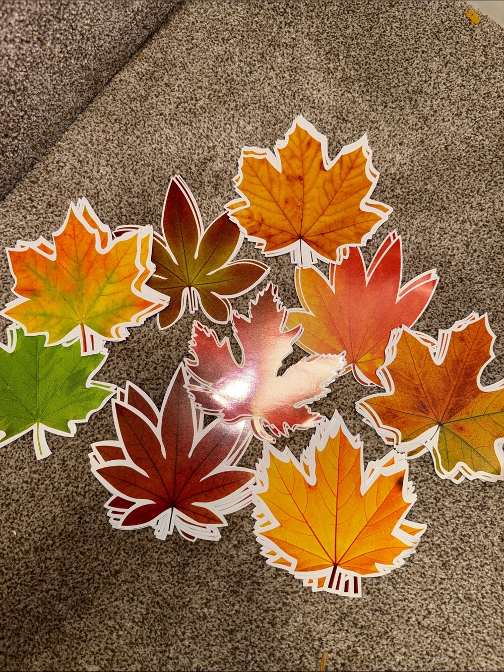 Autumn Maple Leaf Party Cutouts - Multicolor Fall Decorations